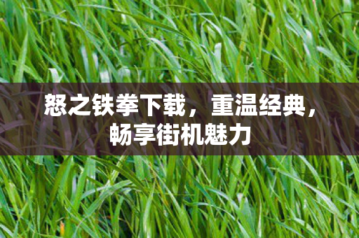 怒之铁拳下载,重温经典,畅享街机魅力 怒之铁拳下载,重温经典,畅享街机魅力
