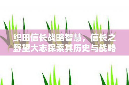 信长之野望大志探索其历史与战略图片