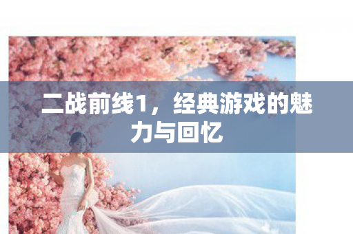二战前线1,经典游戏的魅力与回忆 二战前线1,经典游戏的魅力与回忆