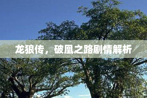 破凰之路剧情解析图片