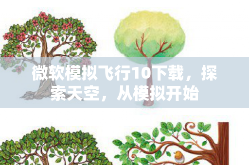 微软模拟飞行10下载图片