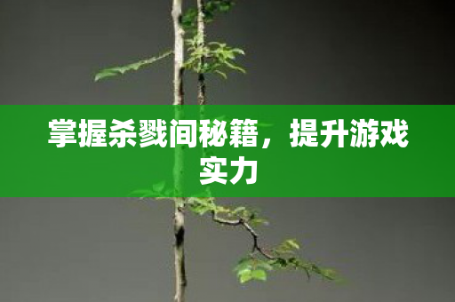 掌握杀戮间秘籍,提升游戏实力 掌握杀戮间秘籍,提升游戏实力
