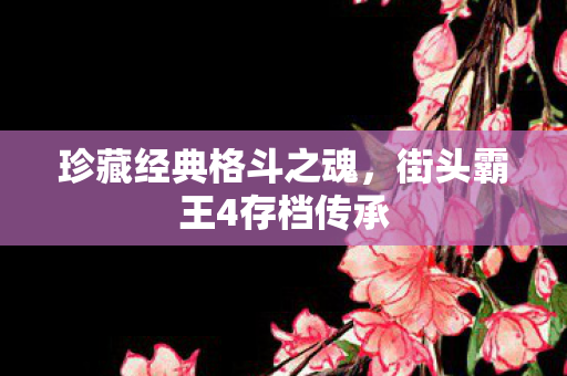 珍藏经典格斗之魂，街头霸王4存档传承