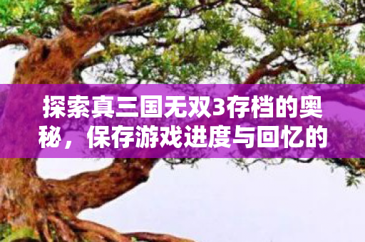 探索真三国无双3存档的奥秘,保存游戏进度与回忆的珍贵宝藏,真三国无双3存档,保存游戏进度与回忆的珍贵宝藏 探索真三国无双3存档的奥秘,保存游戏进度与回忆的珍贵宝藏,真三国无双3存档,保存游戏进度与回忆的珍贵宝藏