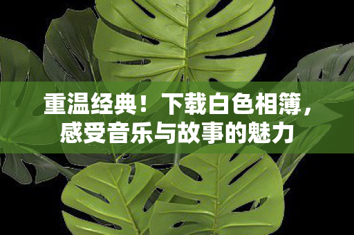 重温经典!下载白色相簿,感受音乐与故事的魅力 重温经典!下载白色相簿,感受音乐与故事的魅力