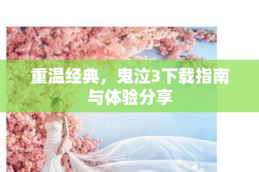 鬼泣3下载指南与体验分享图片