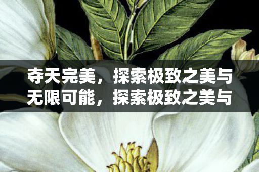 探索极致之美与无限可能图片