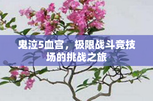 极限战斗竞技场的挑战之旅图片