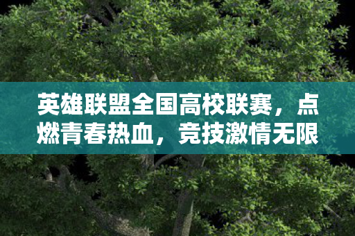 英雄联盟全国高校联赛,点燃青春热血,竞技激情无限 英雄联盟全国高校联赛,点燃青春热血,竞技激情无限