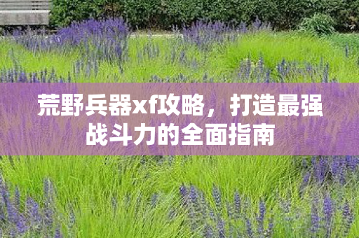 荒野兵器xf攻略,打造最强战斗力的全面指南 荒野兵器xf攻略,打造最强战斗力的全面指南