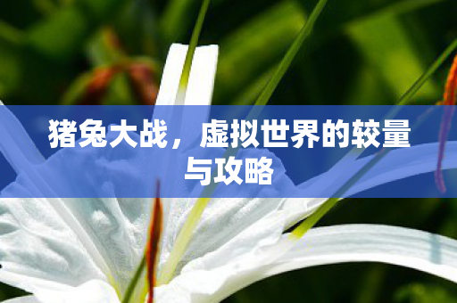 虚拟世界的较量与攻略图片