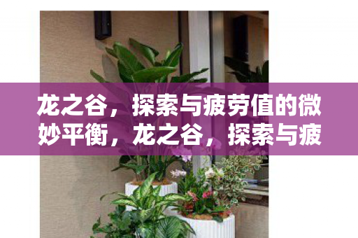 龙之谷,探索与疲劳值的微妙平衡,龙之谷,探索与疲劳值的微妙平衡 龙之谷,探索与疲劳值的微妙平衡,龙之谷,探索与疲劳值的微妙平衡