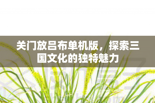 关门放吕布单机版，探索三国文化的独特魅力
