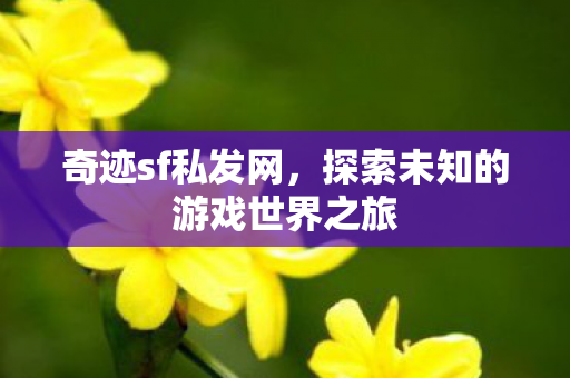 奇迹sf私发网,探索未知的游戏世界之旅 奇迹sf私发网,探索未知的游戏世界之旅