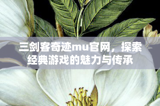 三剑客奇迹mu官网,探索经典游戏的魅力与传承 三剑客奇迹mu官网,探索经典游戏的魅力与传承