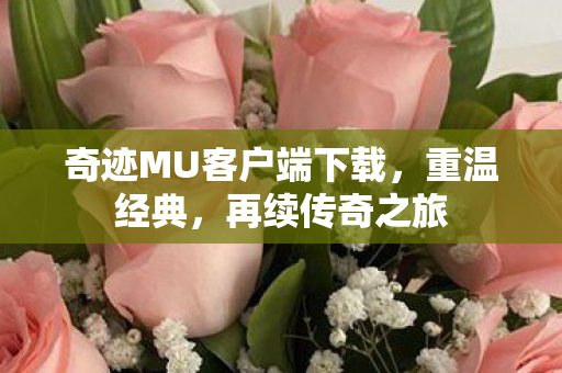 奇迹MU客户端下载，重温经典，再续传奇之旅
