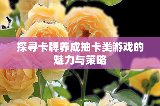 探寻卡牌养成抽卡类游戏的魅力与策略