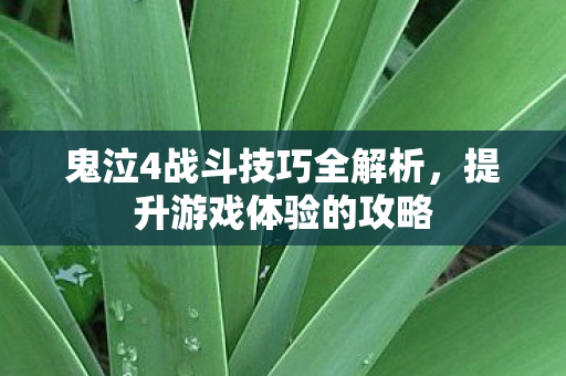 鬼泣4战斗技巧全解析，提升游戏体验的攻略