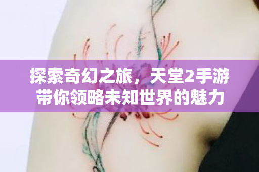 天堂2手游带你领略未知世界的魅力图片