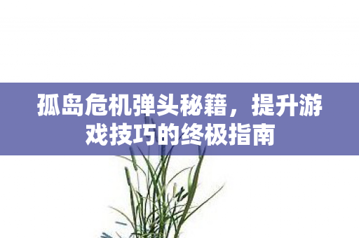 孤岛危机弹头秘籍，提升游戏技巧的终极指南