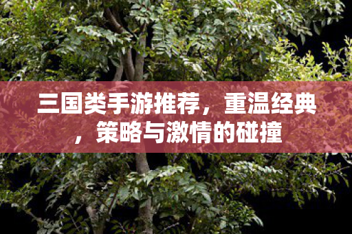三国类手游推荐,重温经典,策略与激情的碰撞 三国类手游推荐,重温经典,策略与激情的碰撞