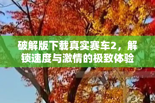 解锁速度与激情的极致体验图片
