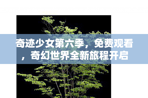 奇迹少女第六季，免费观看，奇幻世界全新旅程开启
