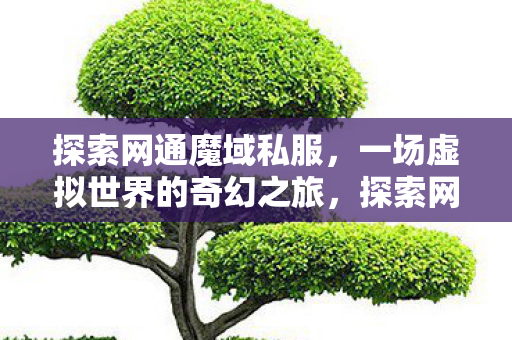 一场虚拟世界的奇幻之旅图片