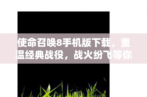 使命召唤8手机版下载图片