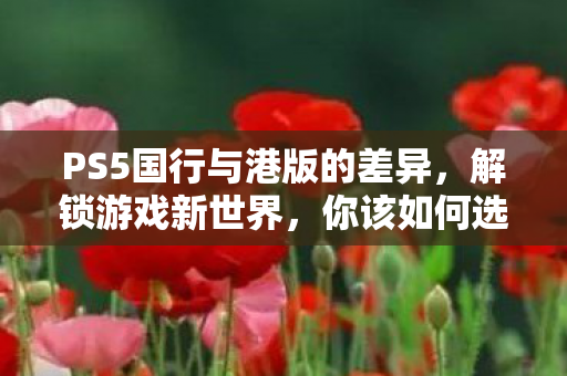 PS5国行与港版的差异图片