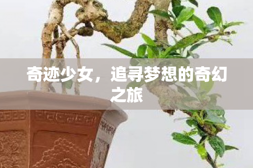 追寻梦想的奇幻之旅图片