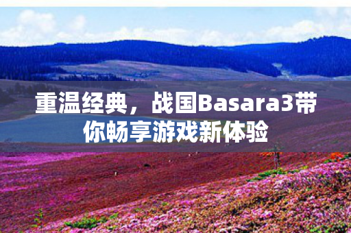 重温经典,战国Basara3带你畅享游戏新体验 重温经典,战国Basara3带你畅享游戏新体验