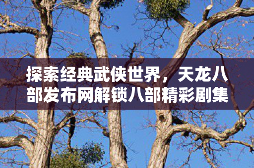 天龙八部发布网解锁八部精彩剧集图片