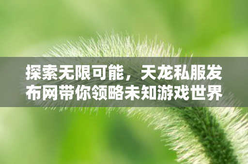 天龙私服发布网带你领略未知游戏世界图片