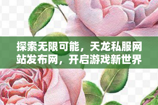 天龙私服网站发布网图片