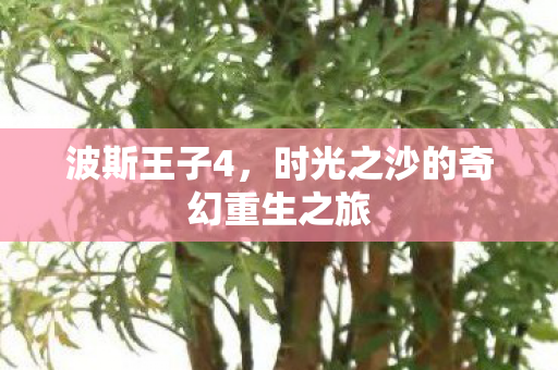 时光之沙的奇幻重生之旅图片