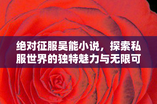 探索私服世界的独特魅力与无限可能图片