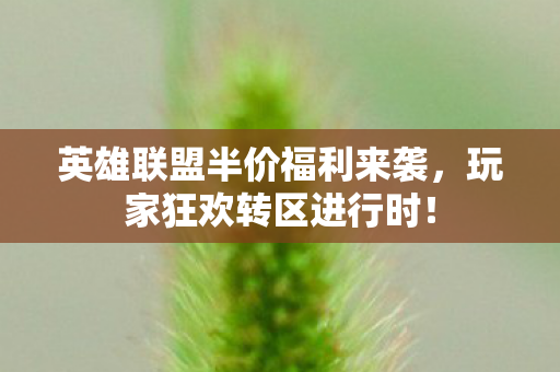 英雄联盟半价福利来袭图片