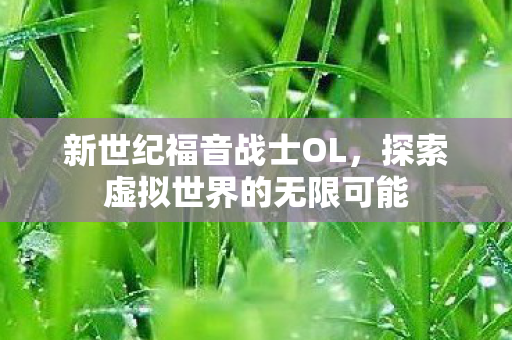 新世纪福音战士OL，探索虚拟世界的无限可能