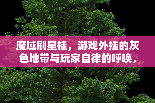 游戏外挂的灰色地带与玩家自律的呼唤图片