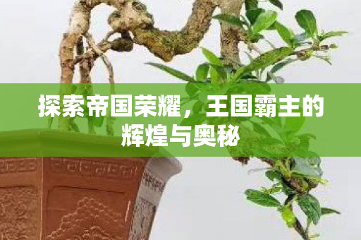 探索帝国荣耀,王国霸主的辉煌与奥秘 探索帝国荣耀,王国霸主的辉煌与奥秘