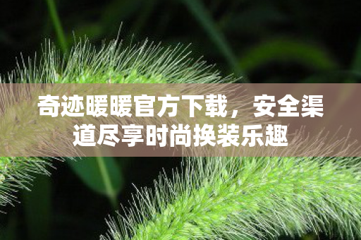 安全渠道尽享时尚换装乐趣图片