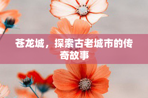 苍龙城,探索古老城市的传奇故事 苍龙城,探索古老城市的传奇故事