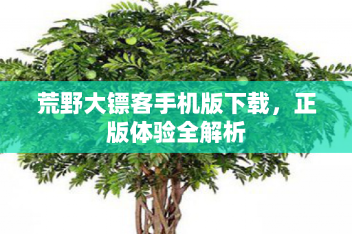 荒野大镖客手机版下载,正版体验全解析 荒野大镖客手机版下载,正版体验全解析