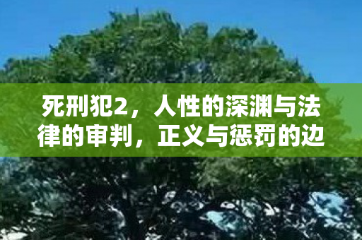 死刑犯2,人性的深渊与法律的审判,正义与惩罚的边界 死刑犯2,人性的深渊与法律的审判,正义与惩罚的边界