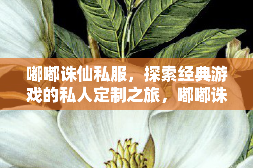 探索经典游戏的私人定制之旅图片