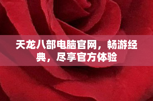 天龙八部电脑官网图片