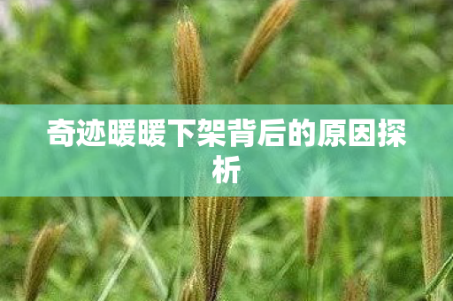 奇迹暖暖下架背后的原因探析 奇迹暖暖下架背后的原因探析
