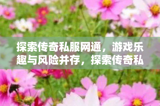 探索传奇私服网通，游戏乐趣与风险并存，探索传奇私服网通，游戏乐趣与风险并存的冒险之旅