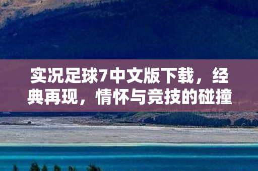 实况足球7中文版下载图片